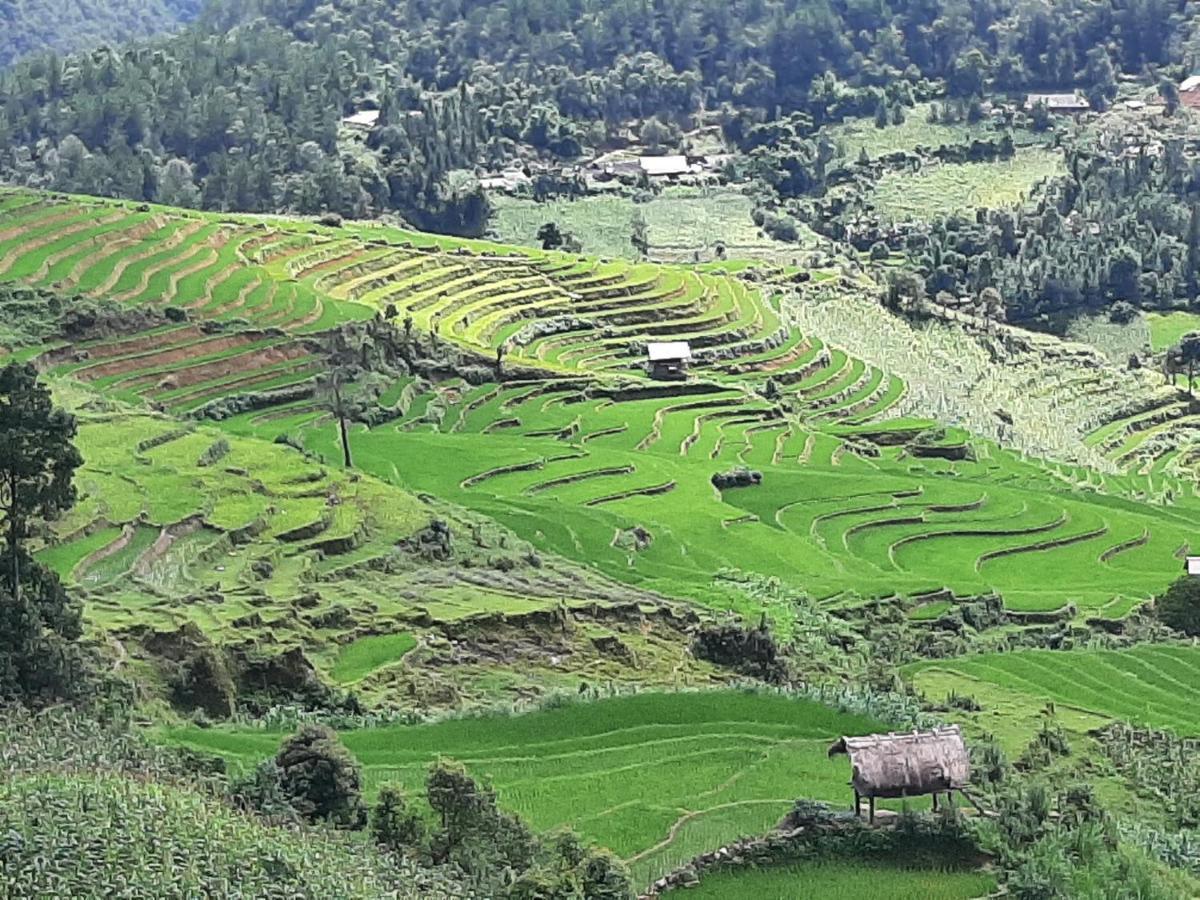 Dong Suoi H'Mong Homestay & Bungalow - Trek & Vegetarian Food Mu Cang Chai Zewnętrze zdjęcie