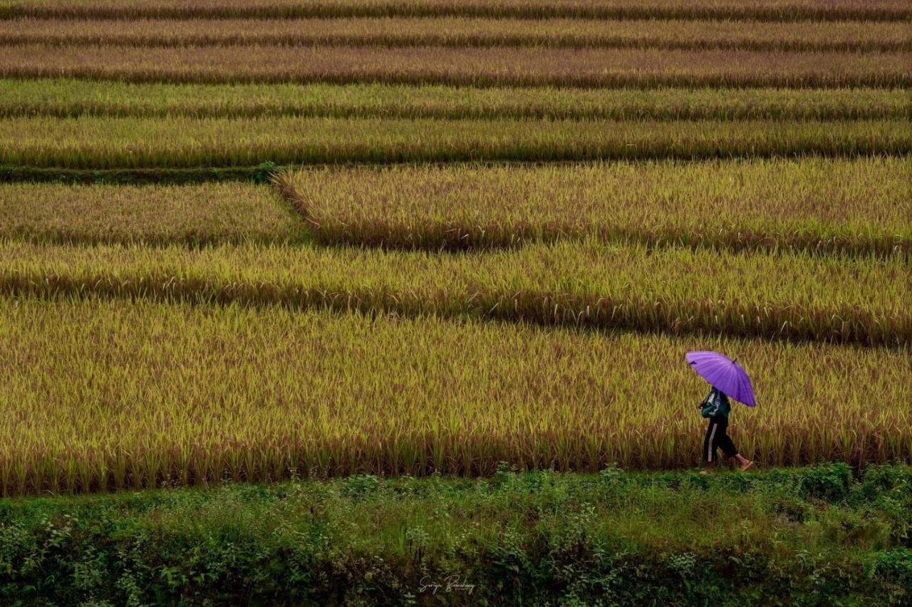 Dong Suoi H'Mong Homestay & Bungalow - Trek & Vegetarian Food Mu Cang Chai Zewnętrze zdjęcie