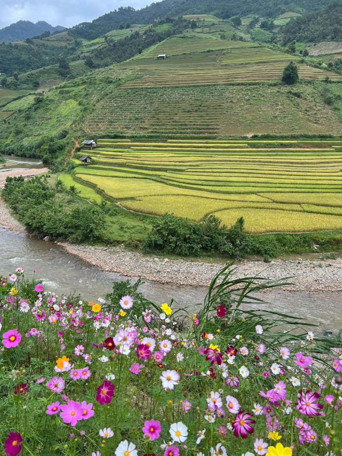 Dong Suoi H'Mong Homestay & Bungalow - Trek & Vegetarian Food Mu Cang Chai Zewnętrze zdjęcie
