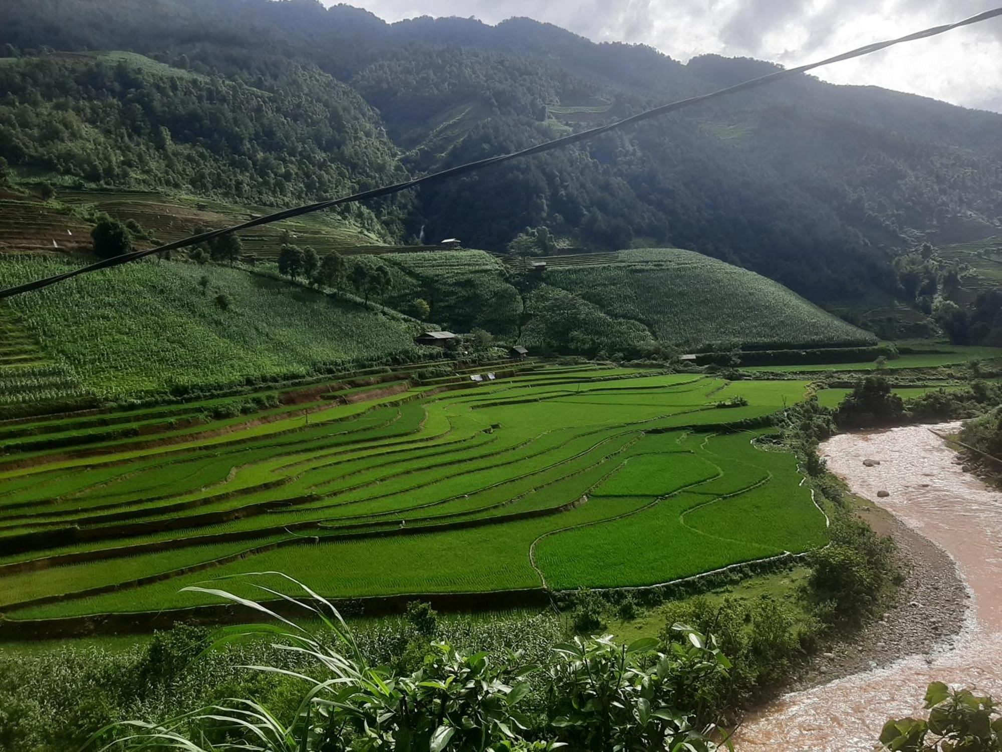 Dong Suoi H'Mong Homestay & Bungalow - Trek & Vegetarian Food Mu Cang Chai Zewnętrze zdjęcie